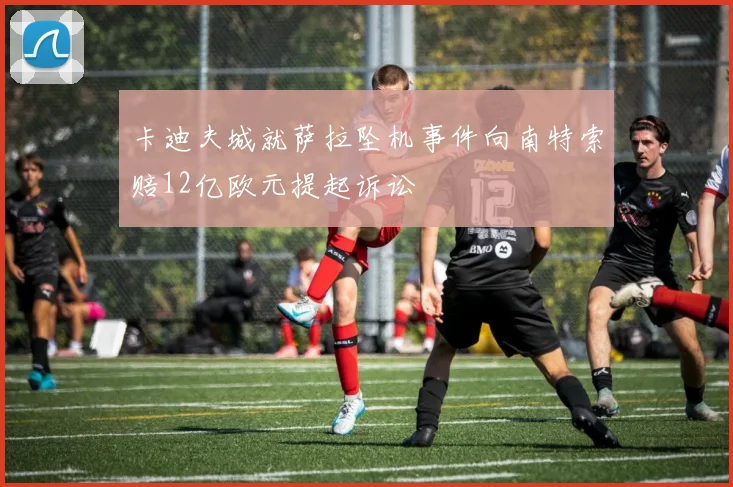 卡迪夫城就萨拉坠机事件向南特索赔12亿欧元提起诉讼